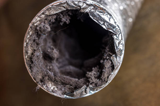 Best Professional Duct Cleaning Services  in Bourbon, MO